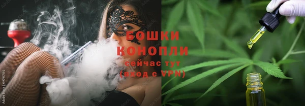 эйфоретик Вяземский
