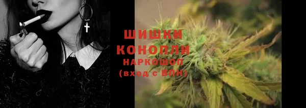 эйфоретик Вяземский