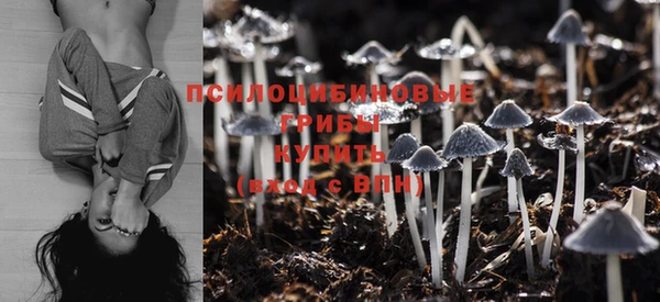ГАЛЛЮЦИНОГЕННЫЕ ГРИБЫ Горняк